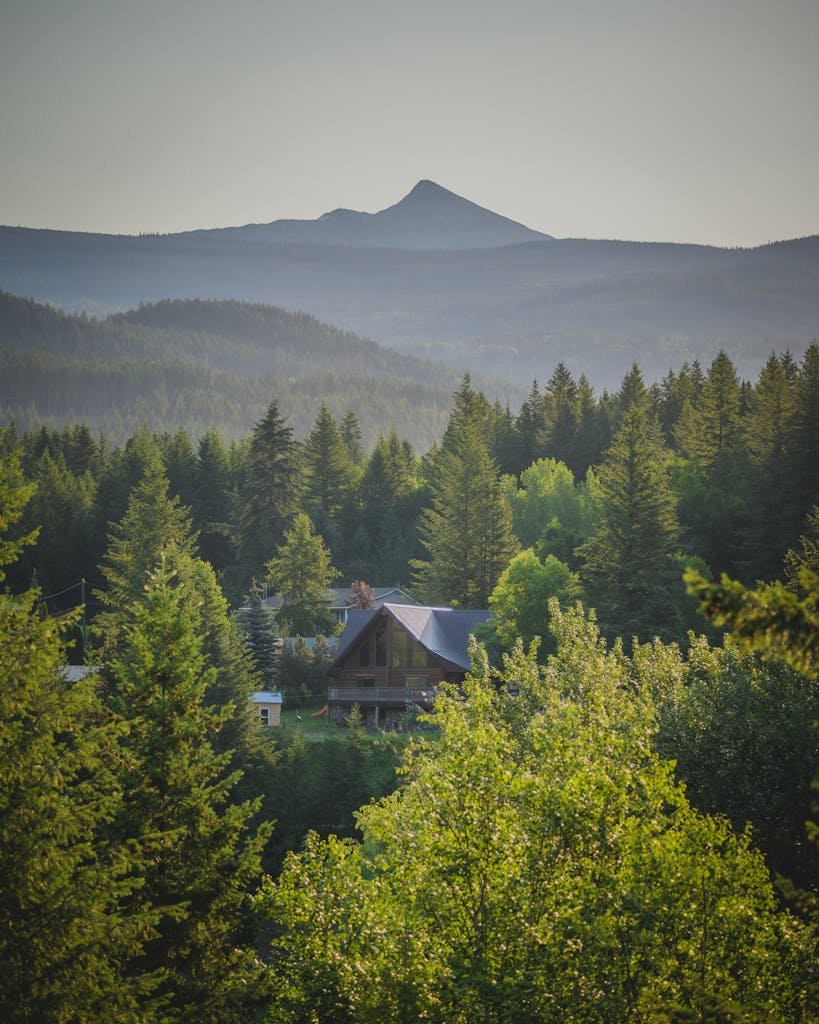 Aerial view of forested hills in Clearwater, BC with a wooden house nestled among trees.