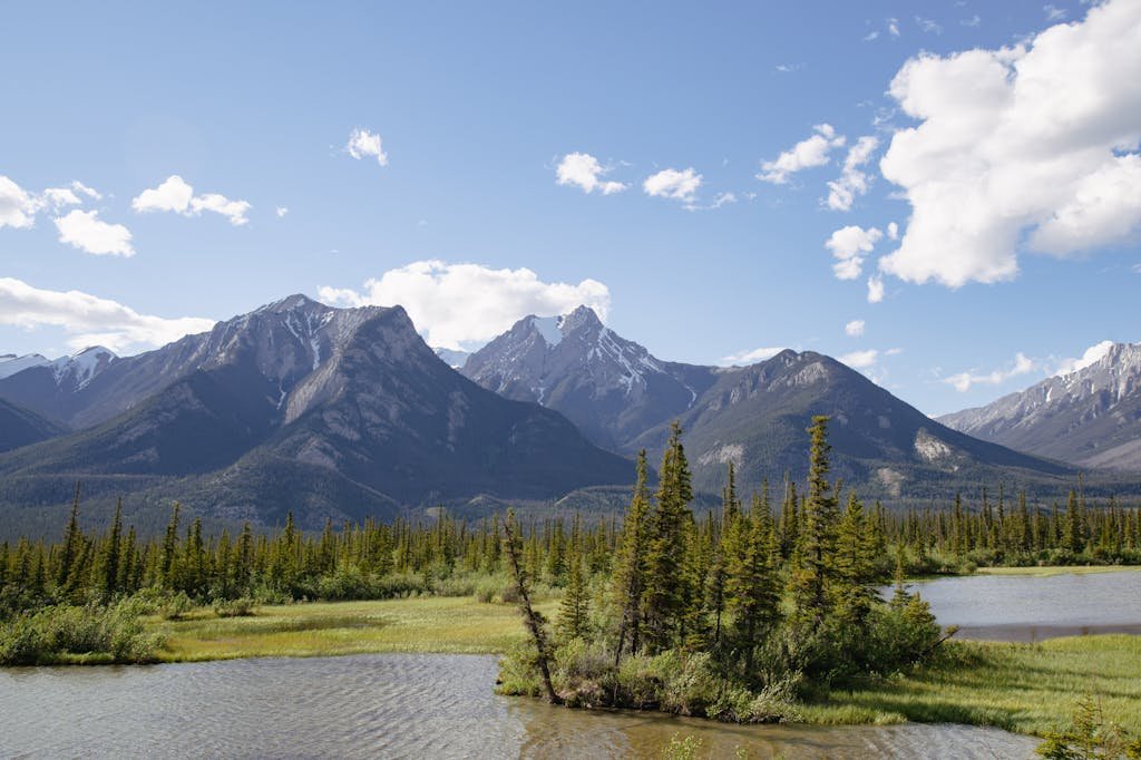 Stunning view of snow-capped mountains and lush green forests in Jasper National Park.